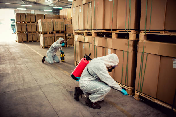 Best Flea Control Services  in Myerstown, PA