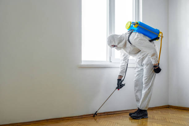 Best Commercial Pest Control Services  in Myerstown, PA