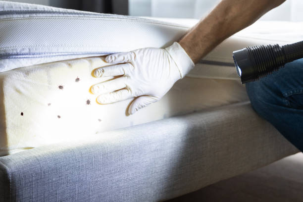 Best Pest Control Near Me  in Myerstown, PA