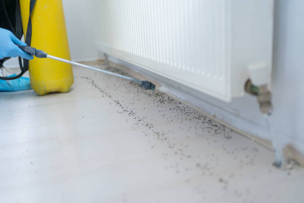 Best Affordable Pest Control Services  in Myerstown, PA